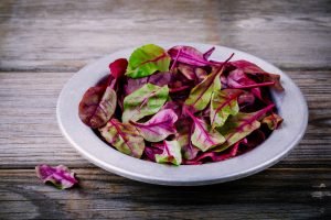 Fresh organic raw dark leaves of lettuce beets for salad