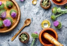Milk-thistle – the 3 key health benefits of milk thistle Milk thistle with flowers