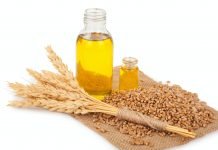 Wheatgerm Oil – can this oil help with infertility? wheat germ oil